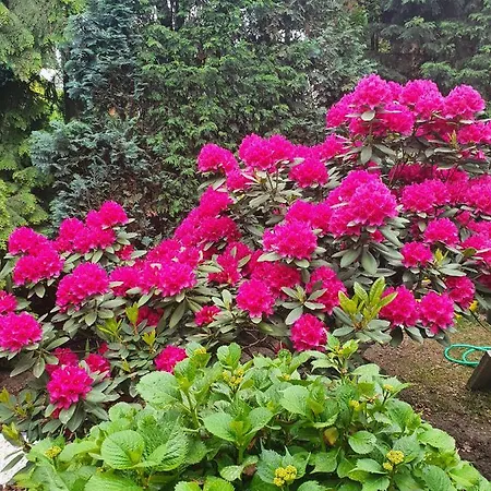 Appartement Erftmuendung Neuss