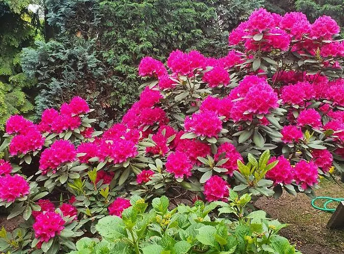 Apartamento Erftmuendung Neuss